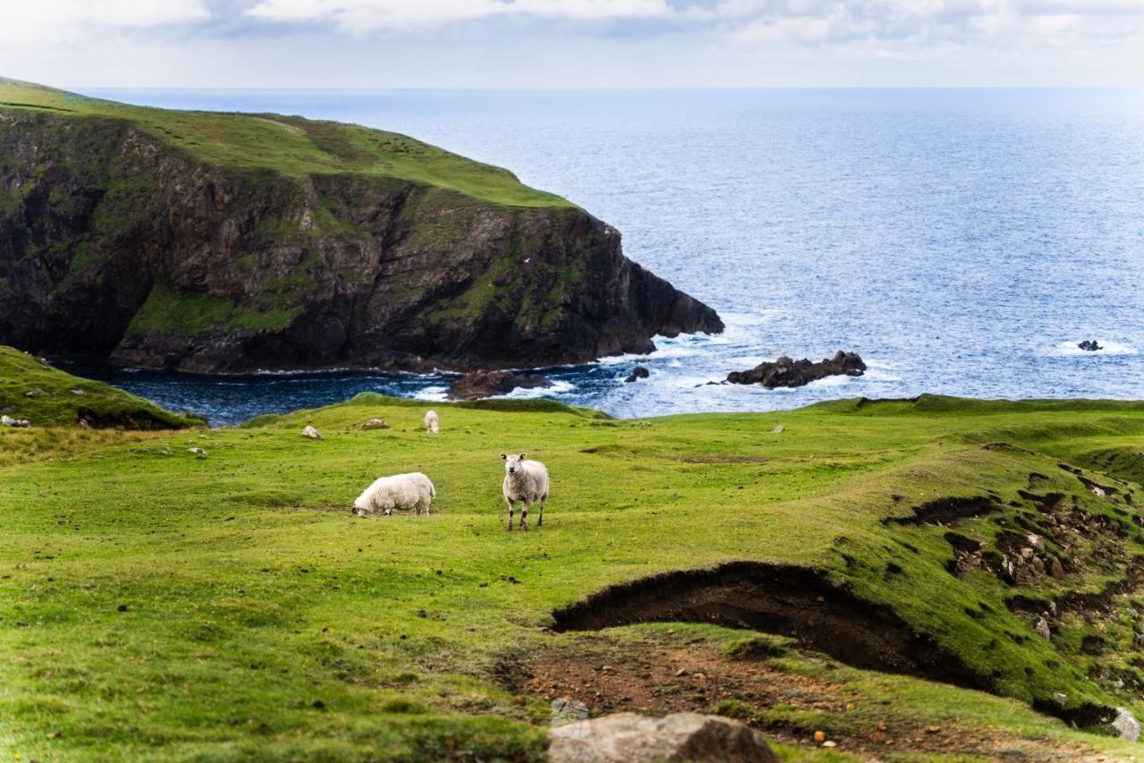 Arranmore Glamping Aphort エクステリア 写真